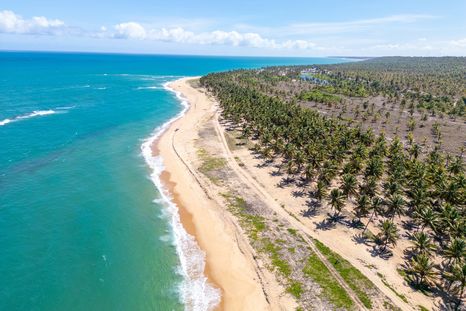 Las playas del Nordeste de Brasil se destacan por sus aguas cálidas, paisajes naturales y pueblos turísticos. Las playas del Nordeste de Brasil se destacan por sus aguas cálidas, paisajes naturales y pueblos turísticos.