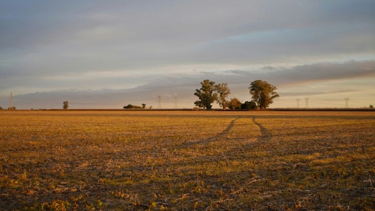 El alquiler permite a los productores agrícolas ajustar su escala de producción en función de las condiciones del mercado. Foto: Nordheimer