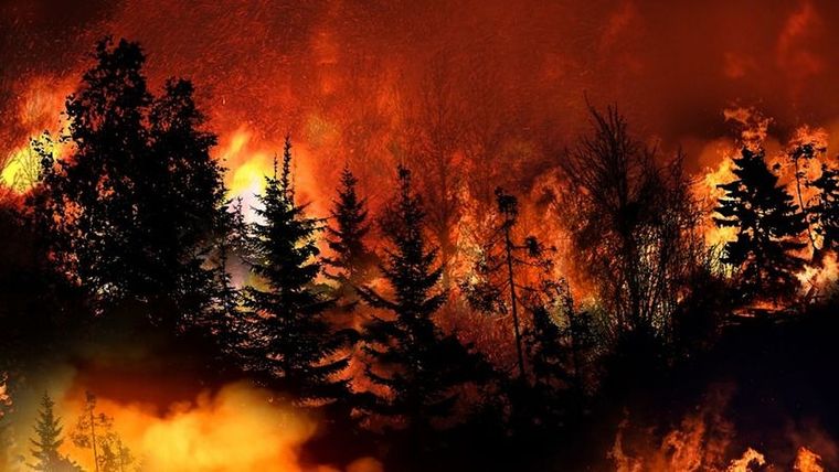 Cerca del 30% de los incendios forestales de California entre 1987 y 2020 fueron iniciados por rayos. Foto: GETTY IMAGES