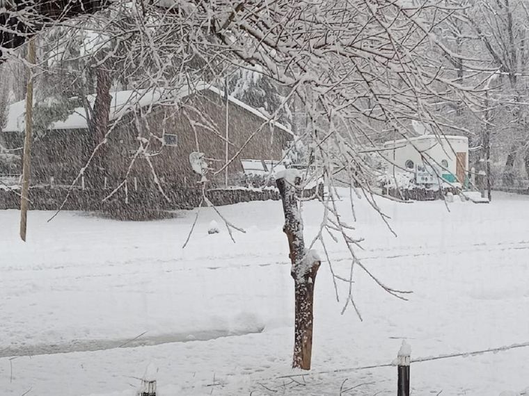 La nevada en Mendoza Foto: Gentileza