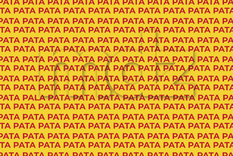 Con ese procedimiento, el acertijo visual deja de depender de la suerte y pasa a depender de tu proceso.