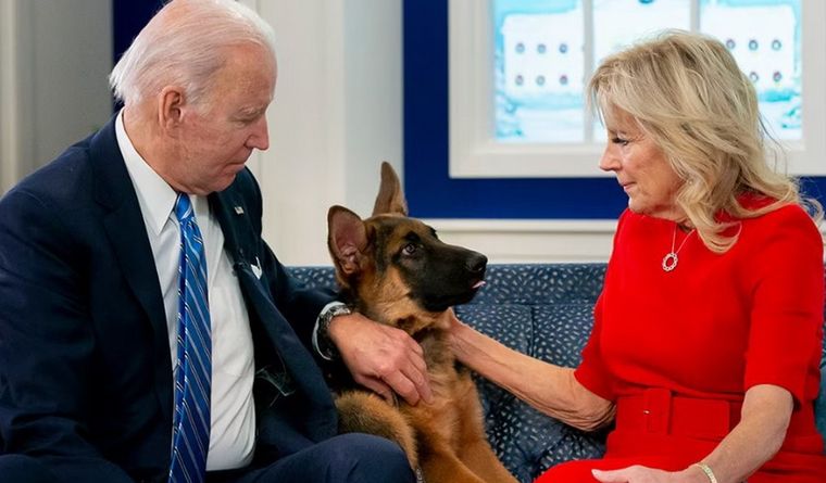 Joe y Jill Biden perro Joe y Jill Biden, junto al perro Commander. Foto: Efe.