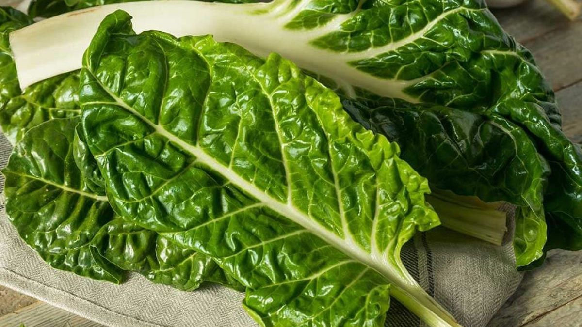 Todas las enfermedades que previene la acelga