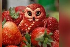 Test de personalidad Foto: Pinterest