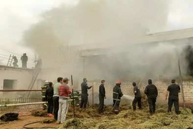 MDZol | Mucho humo Desde lejos se divisaba la columna de humo que producía la combustión de los pastos.