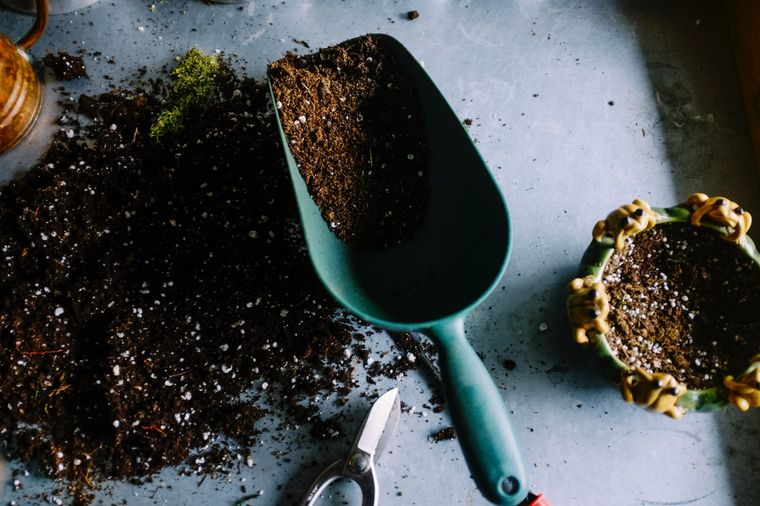Compost Consejos para que sea perfecto Foto: Unsplash