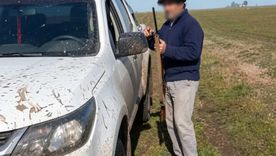 se metieron a cazar a un campo sin permiso y el dueno les disparo: mato a una perra