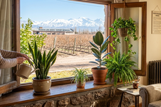 Las plantas para el invierno. Fuente: IA Gemini.