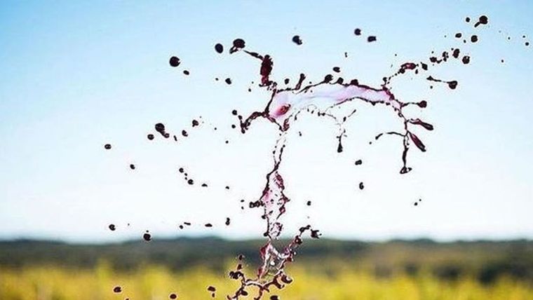 Un vino para descubrir