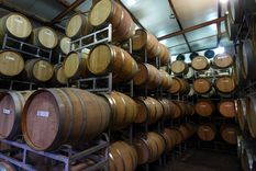 El sector bodeguero destacó la decisión de eliminar las retenciones a las exportaciones regionales, pero puso el foco en el impacto de otros tributos distorsivos, como el impuesto PAIS. Foto: ALF PONCE MERCADO / MDZ