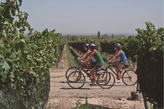 ganadores y perdedores: los pocos sectores que lograron sobresalir