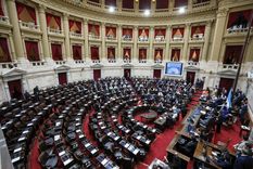 Por falta de quórum, por segunda semana consecutiva se cayó la sesión para tratar Ficha Limpia. Foto: Prensa Diputados