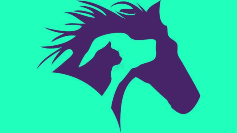 Test de personalidad