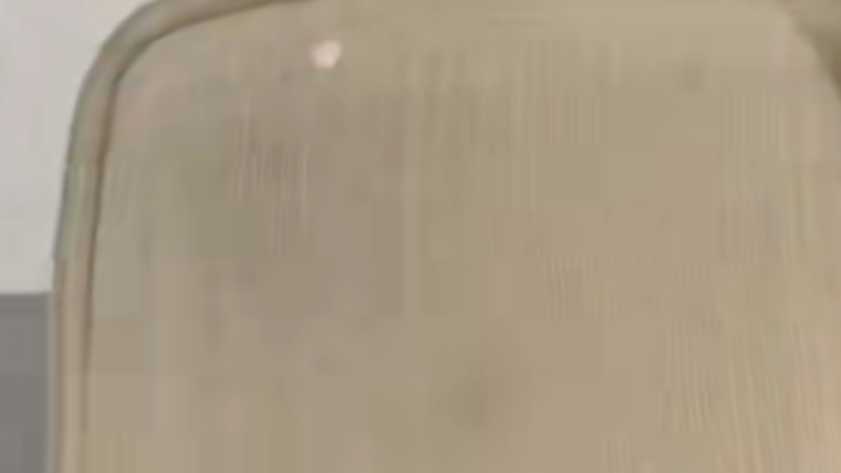 Utilidades Qué debes tener en cuenta. Foto: Fuente: imagen - TK: Danicastillo121