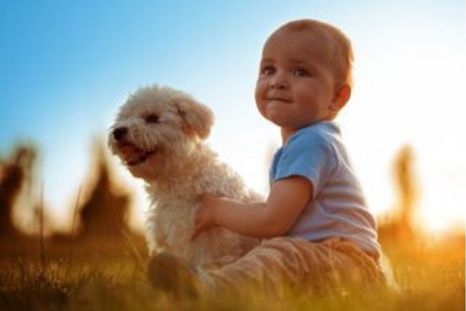 Los perros pueden convertirse en grandes compañeros para los niños. Foto: Archivo Los perros pueden convertirse en grandes compañeros para los niños. Foto: Archivo