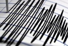 fuerte temblor en chile se sintio en mendoza