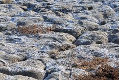 En las últimas décadas, el hemisferio sur se secó más que el norte Foto: ALF PONCE MERCADO / MDZ En las últimas décadas, el hemisferio sur se secó más que el norte Foto: ALF PONCE MERCADO / MDZ