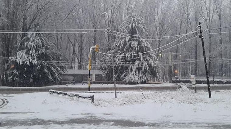 Foto: @MiguelZuloaga