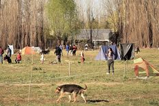 tomaron un predio de cuatro hectareas en mar del plata y hay temor en los vecinos