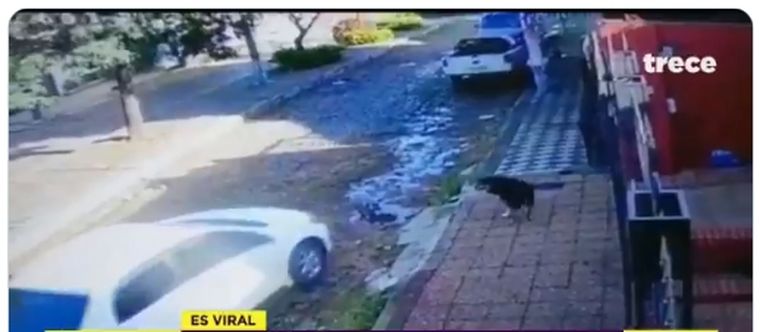 ¿Cómo hizo para salvar a ambos?