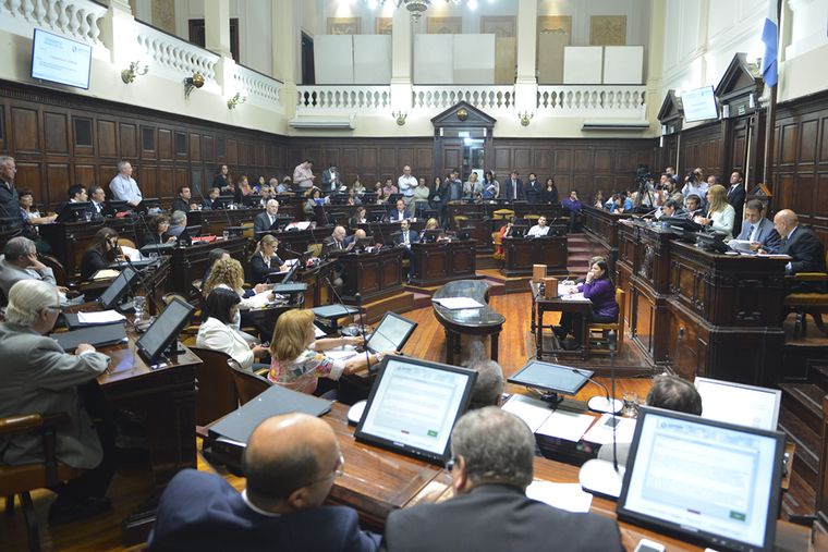 Foto: Senado Mendoza