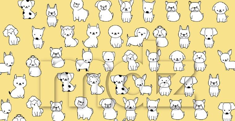 Mientras nuevas versiones del reto circulan en redes, este tipo de desafíos sigue creciendo en popularidad. Foto: Archivo MDZ