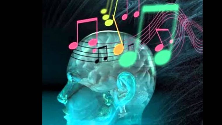 Todos tenemos todas las inteligencias, algunas desarrolladas y otras no tanto Foto: Foto: Youtube