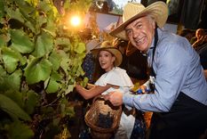 Cornejo tendrá una Vendimia de cosecha política y económica. Foto: ALF PONCE MERCADO / MDZ Cornejo tendrá una Vendimia de cosecha política y económica. Foto: ALF PONCE MERCADO / MDZ