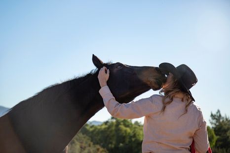 Los caballos, no son solo un animal, son compañeros que le hacen muy bien al ser humano y a su energía ya que pueden ser sanadores y regalan amor. Foto: Foto: Freepik