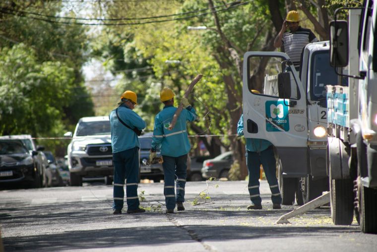 Mantenimiento urbano en Ciudad.