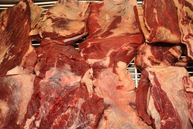 MDZol | Foto: Pablo Matar/Mediamza.com