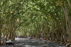 el tiempo en mendoza: arranca un fin de semana agradable