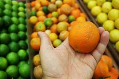 JARDÍN El hongo Penicillium italicum es ek causantes del moho azul y verde de las frutas Foto: PEXELS