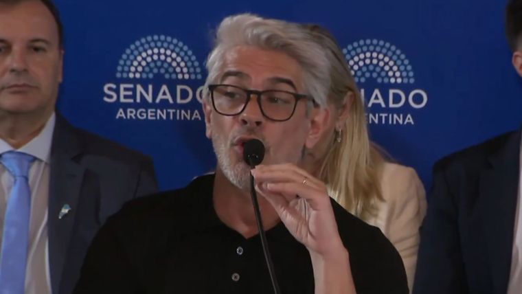 Pablo Echarri en la comisión del Senado.