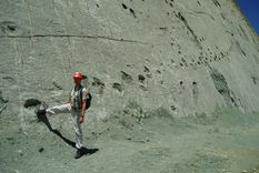 la increible pared con 5.000 huellas de dinosaurios