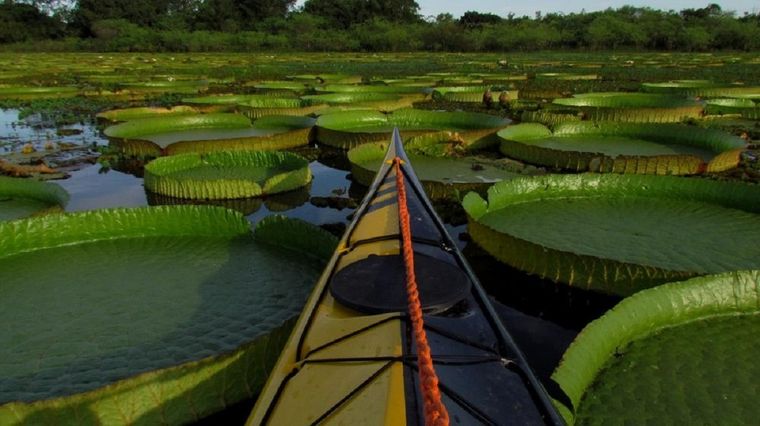 Jaaukanigás se ubica al noreste de la provincia de Santa Fe