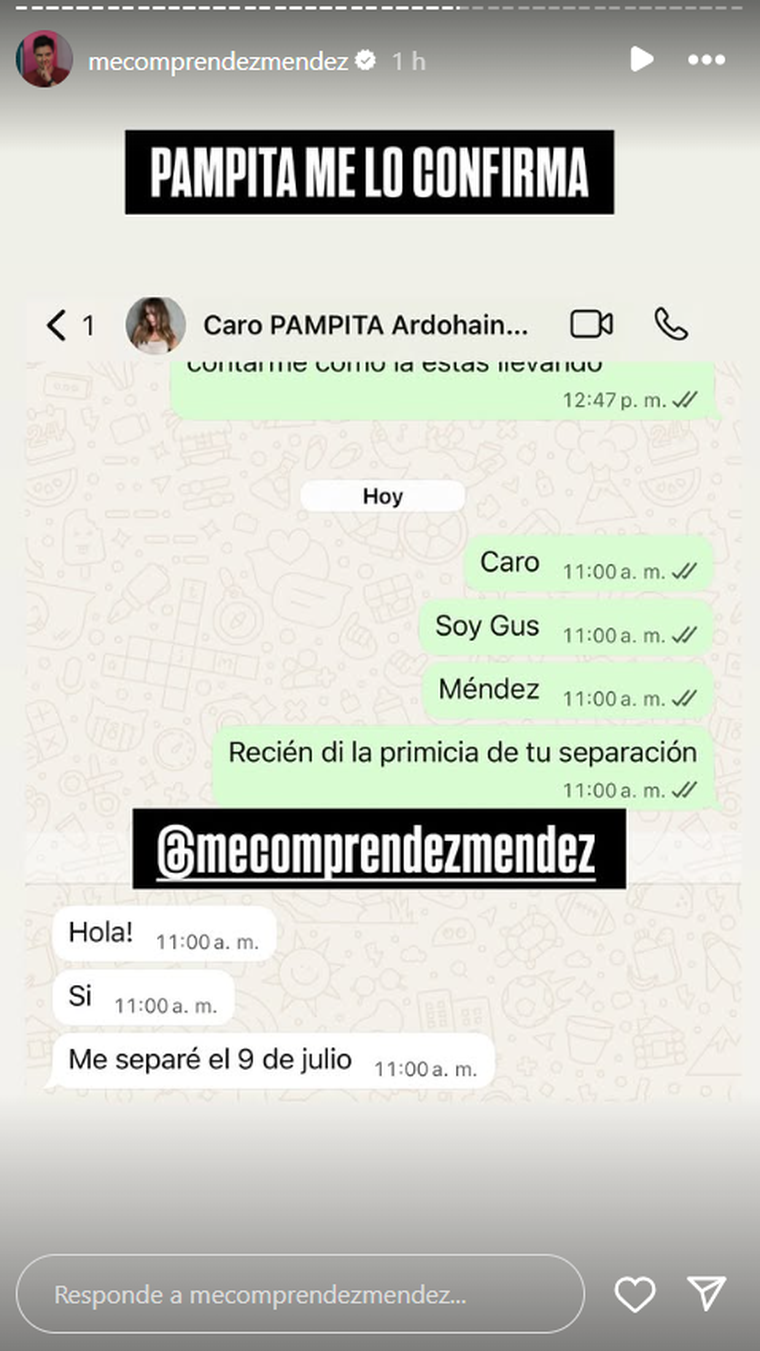 Pampita confirmó su separación. Foto: captura de pantalla Instagram/ @mecomprendezmendez. Pampita confirmó su separación. Foto: captura de pantalla Instagram/ @mecomprendezmendez.