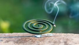 El verano invita a disfrutar del aire libre, pero también exige cuidados frente a los insectos. Foto: Shutterstock El verano invita a disfrutar del aire libre, pero también exige cuidados frente a los insectos. Foto: Shutterstock