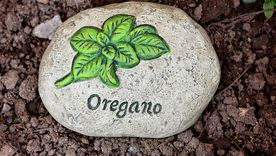 Foto: Pixabay - pixabay.com