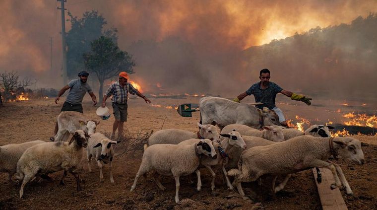 Al mismo tiempo, hay una fuerte ola de calor en Europa. Foto: Dw.