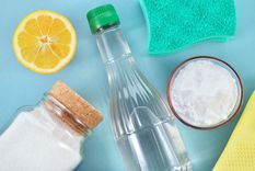 Los productos ecológicos son eficaces en la limpieza. Foto: Archivo