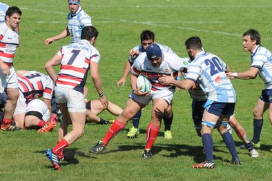 MDZol | Foto: Alf Ponce/MDZ