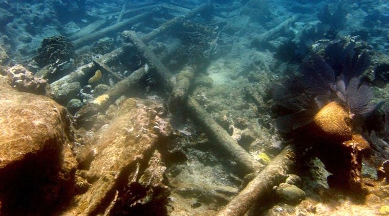 Foto: eluniversal.com.mx