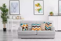 Genera un ambiente agradable con estos trucos. Foto: Shutterstock