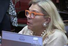 diputados aprobo el proyecto de renegociacion de la deuda