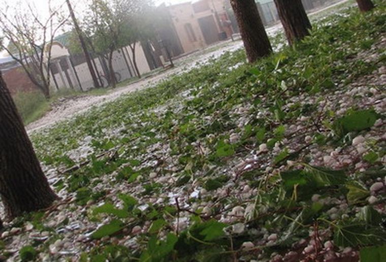 En Palmira, en un momento, el piso estuvo cubierto por el granizo. Foto: Archivo