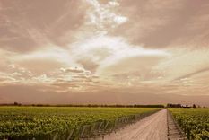 La belleza del Valle de Uco, y de Bodega de La Luz.