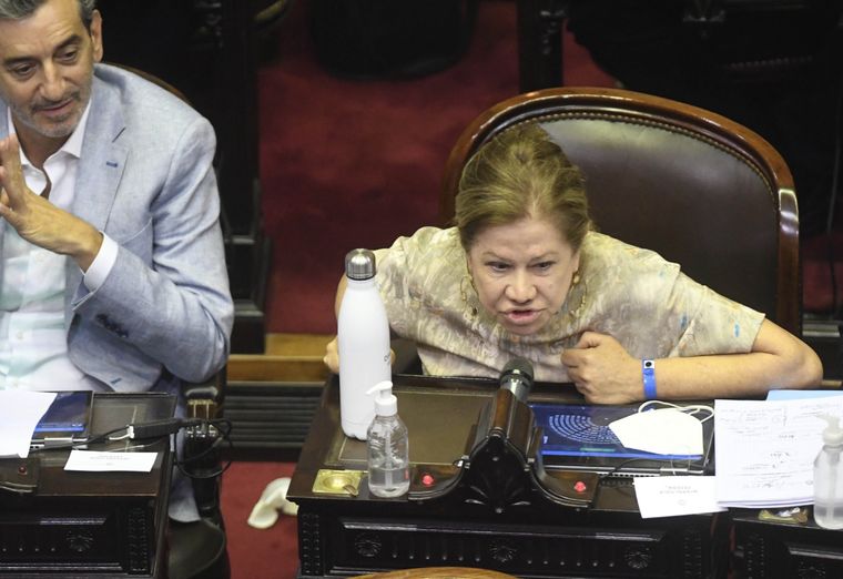 Minutos después de que gran parte del bloque de Juntos por el Cambio haya dejado el recinto. La diputada nacional de Consenso Federal arremetió vía Twitter contra el presidente de la Nación. Foto: Telam
