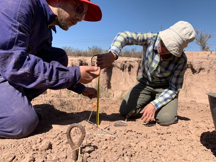 Arqueólogos trabajando con los restos Foto: Gobierno de Mendoza