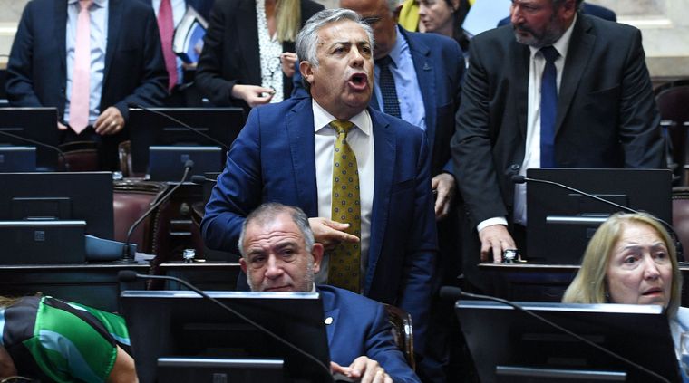 Foto: Prensa Senado Nacional